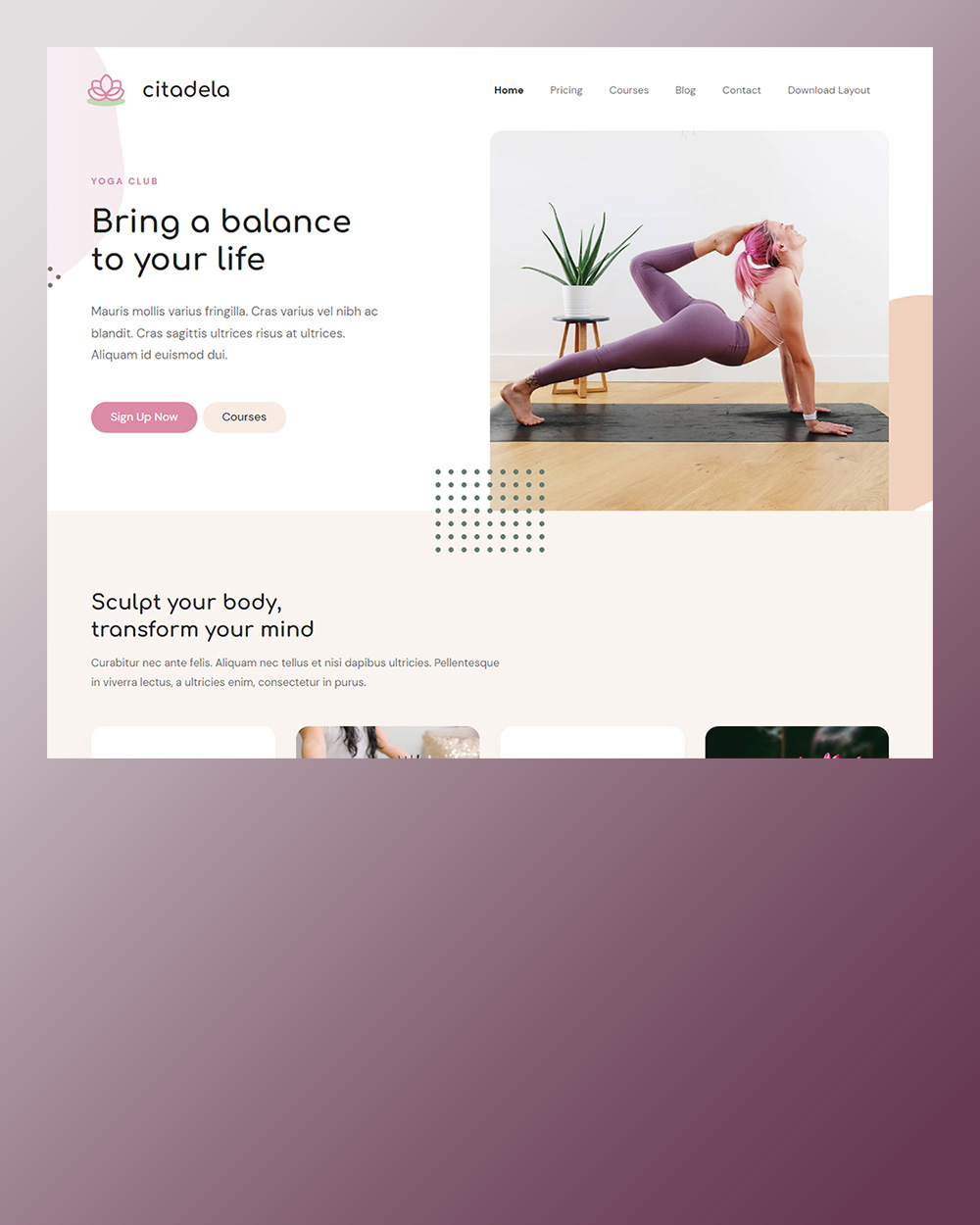 citadela yoga обработано