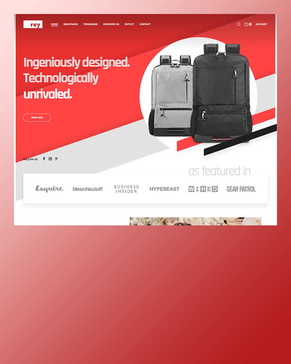 reytheme fashion backpacks обработано